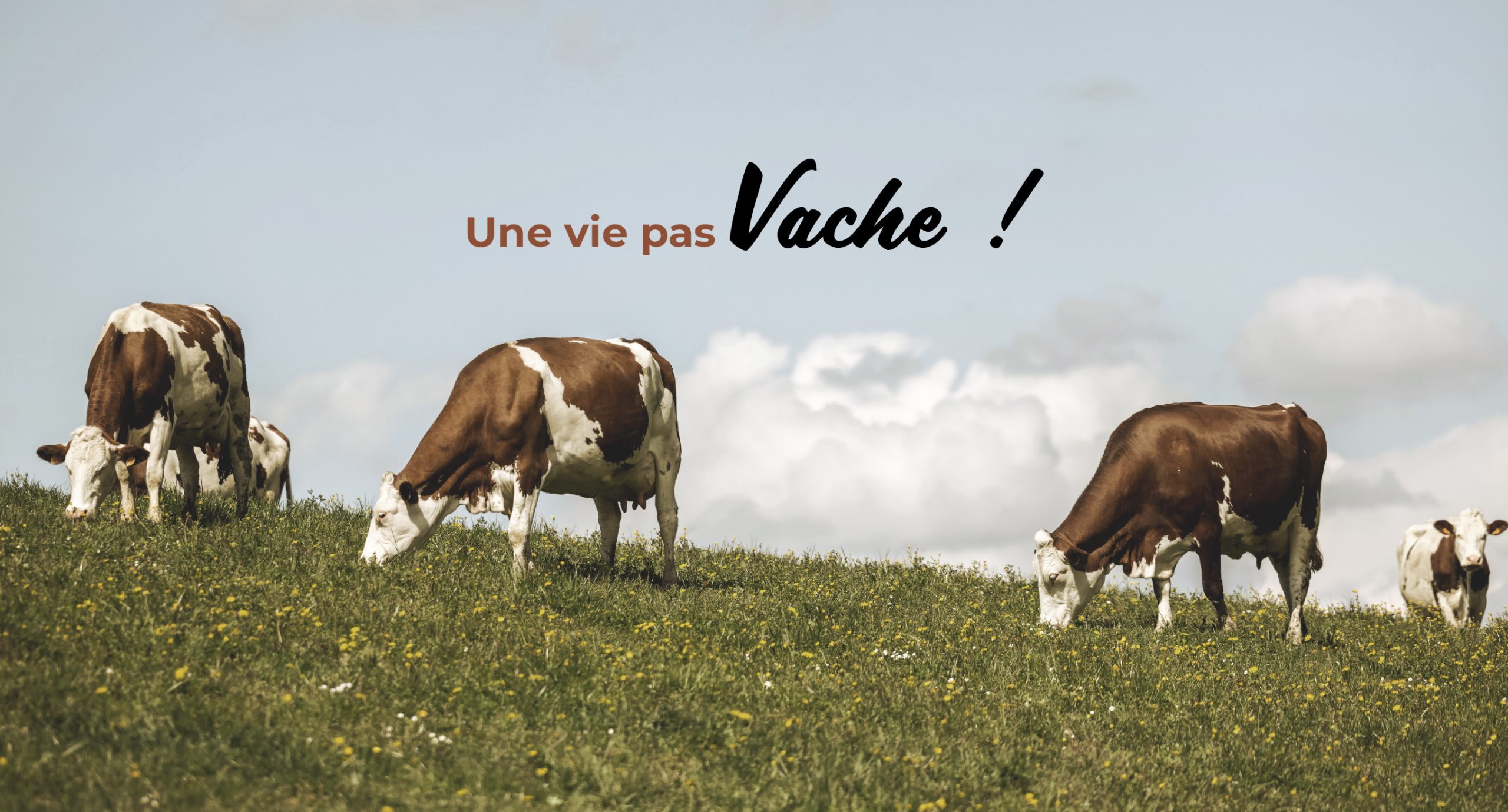 Une vie pas Vache