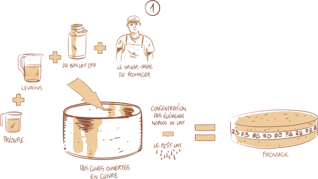 Première phase de fabrication du Comté AOP, ingrédients et processus.