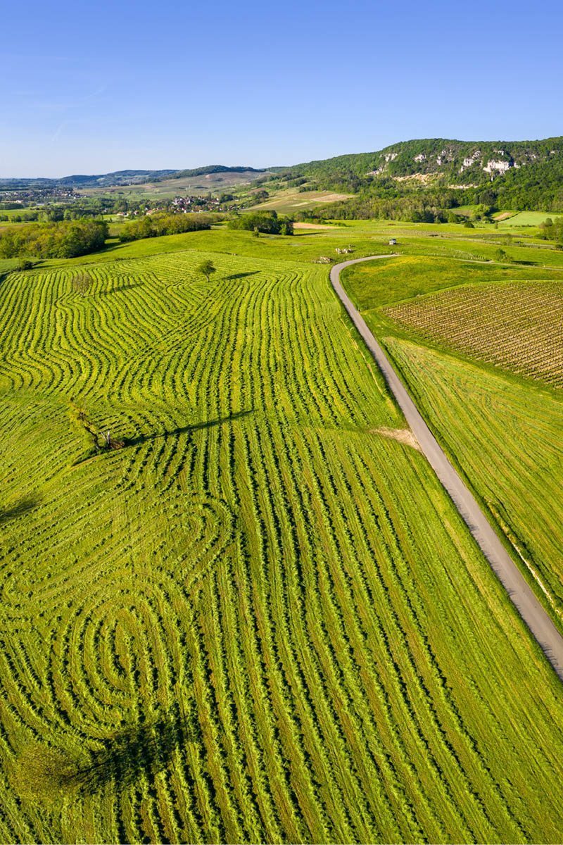 Un paysage façonné par les activités agricoles